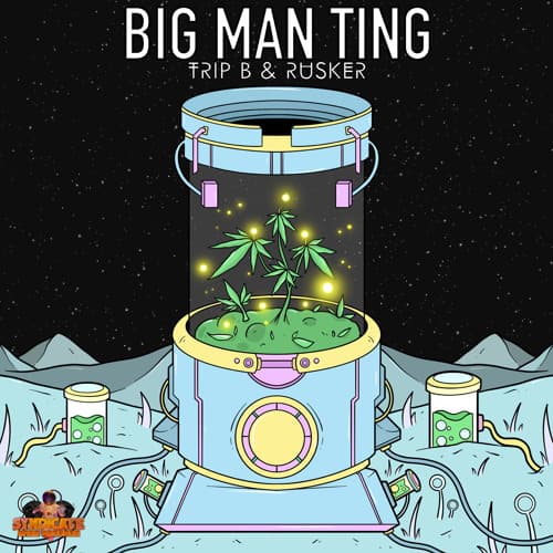 BIG MAN TING artwork