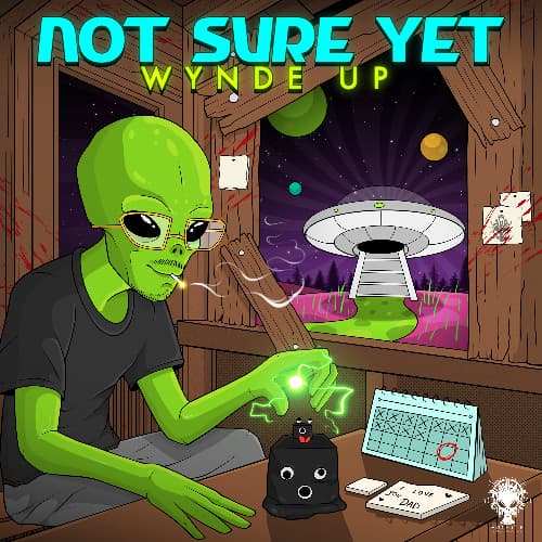 Not Sure Yet artwork